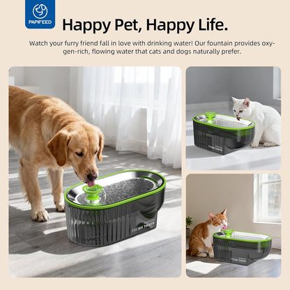 PAPIFEED Cat Water Fountain Stainless Steel with a Silicone Mat, 84Oz/2.5L Automatic Pet Water Fountain with LED Water Level Window, Quiet Low Power Cat Water Bowl & Cat Water Dispenser (Green)7