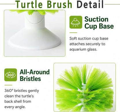 Turtle Scrub Brush, Turtle Scratches Back Brush Turtle Shell Clean Brush with Suction Cup Turtle Exfoliate Brush Tank Tortoise Brush for Remove Turtle Shell Scutes Mud Dirt3