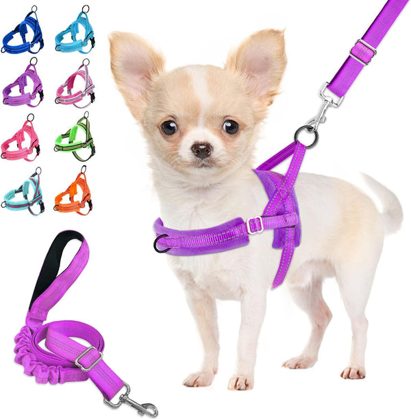 Lukovee No Pull Dog Harness and Leash Set, Soft Padded Small Dog Harness, Neck & Chest Adjustable Reflective Vest Puppy Harness with 4Ft Lightweight Anti-Twist Dog Leash for Small Dogs (XS, Blue)16