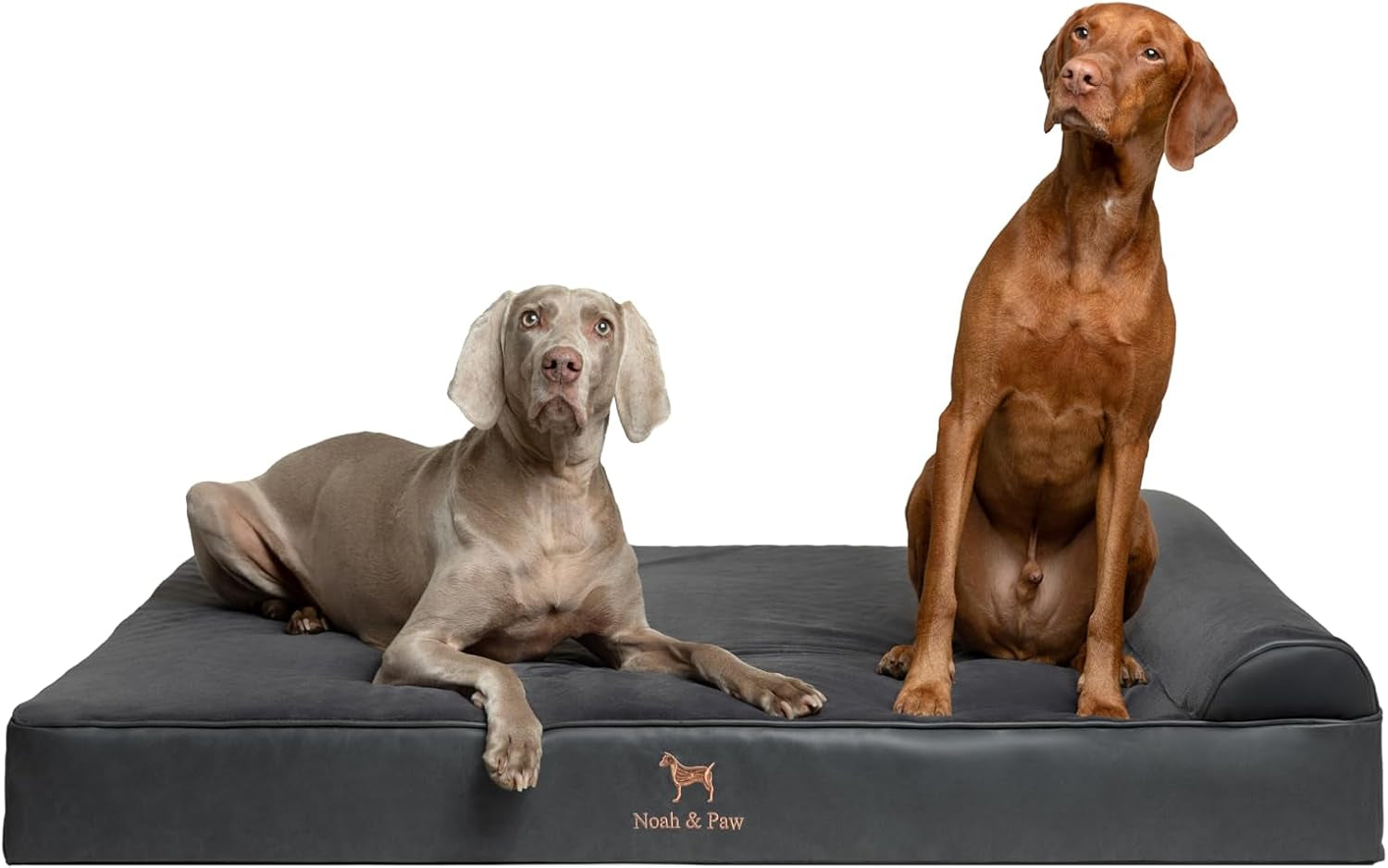 noah-paw-large-dog-bed-35x25x8-7-inch-orthopedic-dog-beds-eggshell-memory-foam-infused-with-cooling-gel-water-resistant-machine-washable-includes-inner-cover-velvet-collection