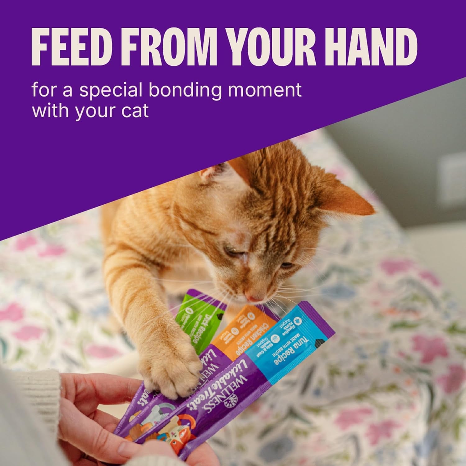 wellness-lickable-soft-puree-cat-treats-all-lifestages-kitten-to-senior-natural-grain-free-chicken-flavor-0-4-oz-pack-of-6-tubes