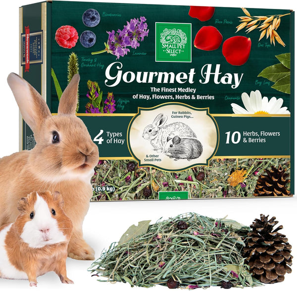 Small Pet Select Gourmet Hay Treat, Flowers & Herbs, Rabbits, 2 Lb | Exclusive Treat Hay Blend with Flowers & Herbs, for Guinea Pigs, Chinchillas, Bunnies & Other Small Pets1