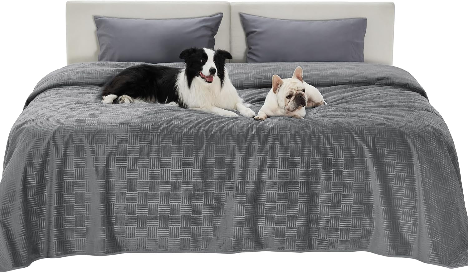 bedsure-waterproof-couch-cover-for-dogs-washable-waterproof-blanket-for-large-dogs-couch-sofa-bed-cozy-lightweight-furniture-protector-for-pet-cat-quick-drying-ash-grey-52x82in