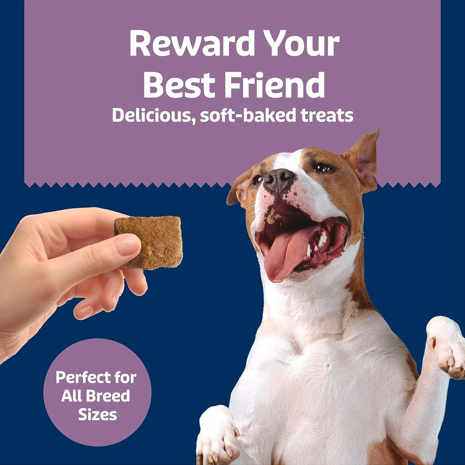 blue-buffalo-soft-chewy-health-bars-baked-with-real-chicken-mixed-berries-natural-dog-treats-enhanced-with-vitamins-and-minerals-9-oz-bag