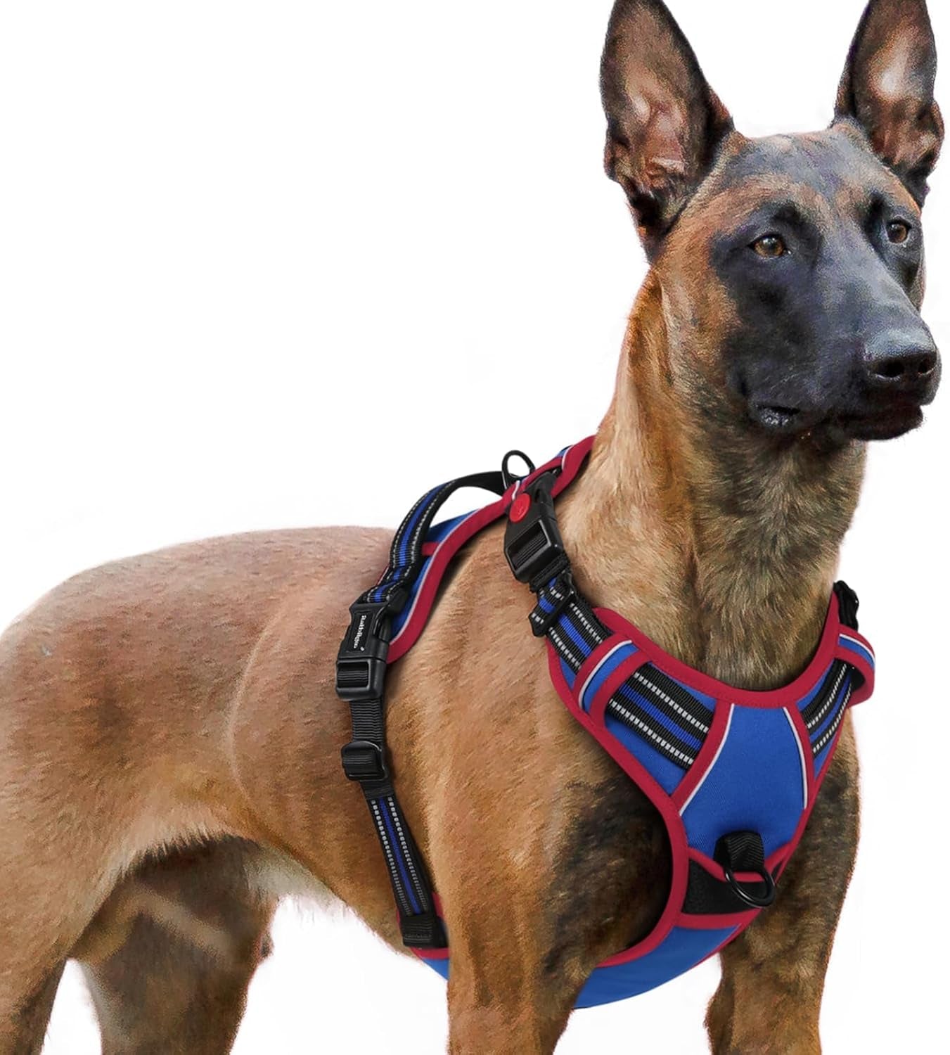 rabbitgoo-dog-harness-medium-sized-updated-easy-on-off-with-3-buckles-no-pull-no-choke-walking-with-2-clips-and-handle-adjustable-soft-reflective-blue-medium