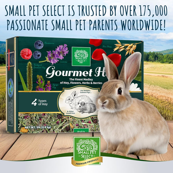 Small Pet Select Gourmet Hay Treat, Flowers & Herbs, Rabbits, 2 Lb | Exclusive Treat Hay Blend with Flowers & Herbs, for Guinea Pigs, Chinchillas, Bunnies & Other Small Pets4