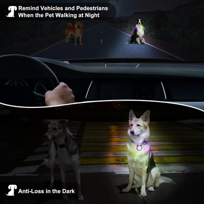 Dog Collar Light, 4 Modes Dog Lights for Night Walking, Rechargeable LED Pet Collar Light for Nighttime Clip On, IP68 Waterproof Pet Walking Accessories-2 Pack(Black)7
