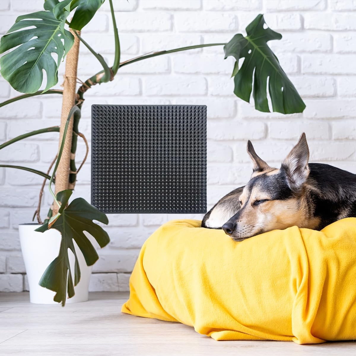 2-pcs-dog-scratching-post-pad-soft-touch-itch-relief-pad-for-horse-cow-goat-sheep-pvc-dog-back-scratcher-massage-bed-massage-brush-for-wooden-stake-wall-sofa-ground-11-8-x-11-8-inch