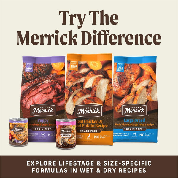 Merrick Power Bites Salmon Recipe Healthy Dog Treats, Real Salmon Grain-Free Dog Snacks, 6 Oz Bag9