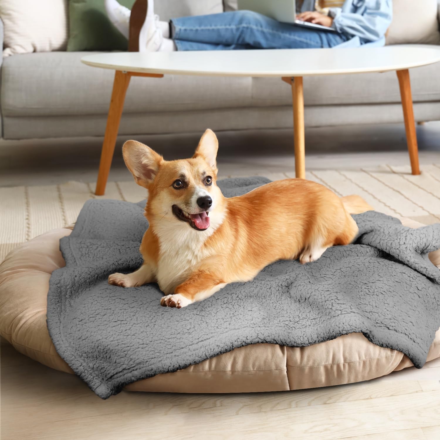 furrybaby-dog-blanket-soft-dog-blankets-for-large-dogs-puppy-essentials-washable-sherpa-fleece-cat-blanket-32x40-inches-for-bed-furniture-couch-sofa-medium-grey