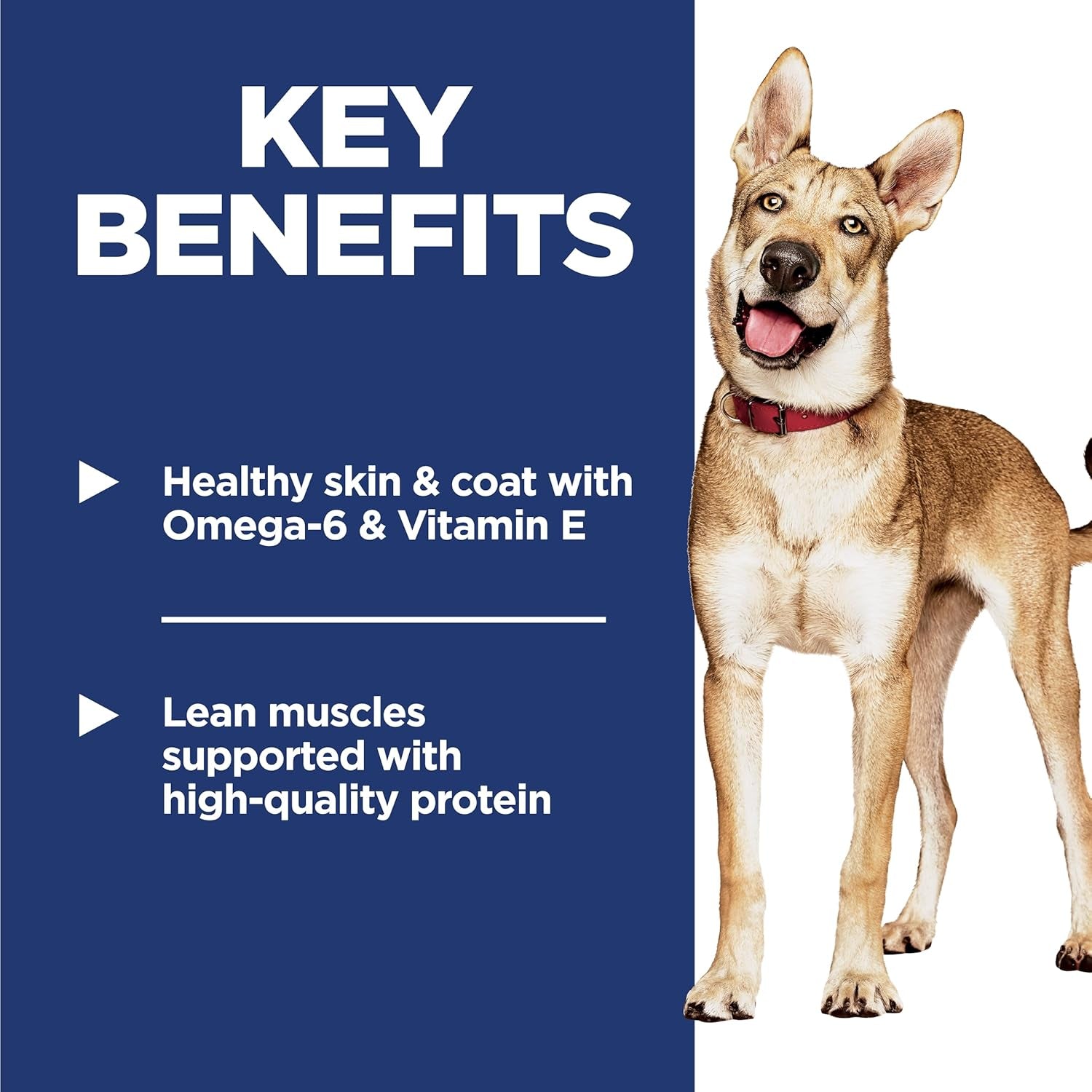 hills-science-diet-adult-1-6-dry-dog-food-1-veterinarian-recommended-chicken-barley-15-lb-bag