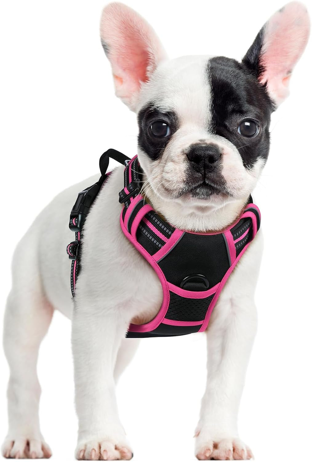 rabbitgoo-dog-harness-no-pull-for-large-dogs-with-2-leash-clips-pet-vest-no-choke-with-handle-adjustable-soft-padded-reflective-easy-control-for-walking-black-large