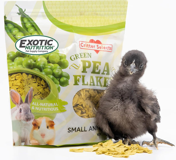 Exotic Nutrition Green Pea Flakes 3Oz. - Healthy & Unique Treat - Rat, Degu, Prairie Dog, Chinchilla, Hedgehog, Parrot, Guinea Pig, Rabbit, Hamster6