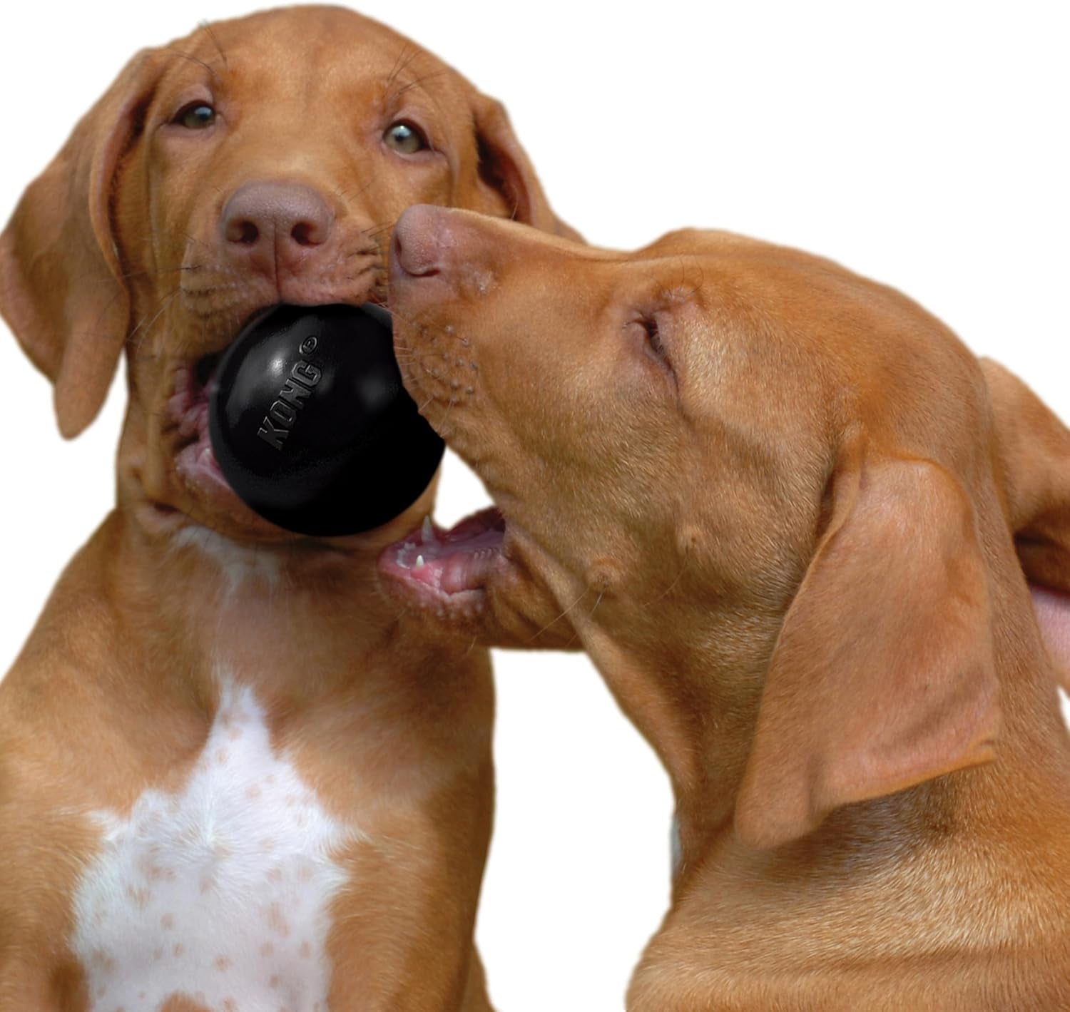 kong-extreme-ball-with-hole-fetch-toy-durable-dog-toy-for-training-interactive-playtime-more-natural-extreme-rubber-ball-black-for-medium-large-dogs