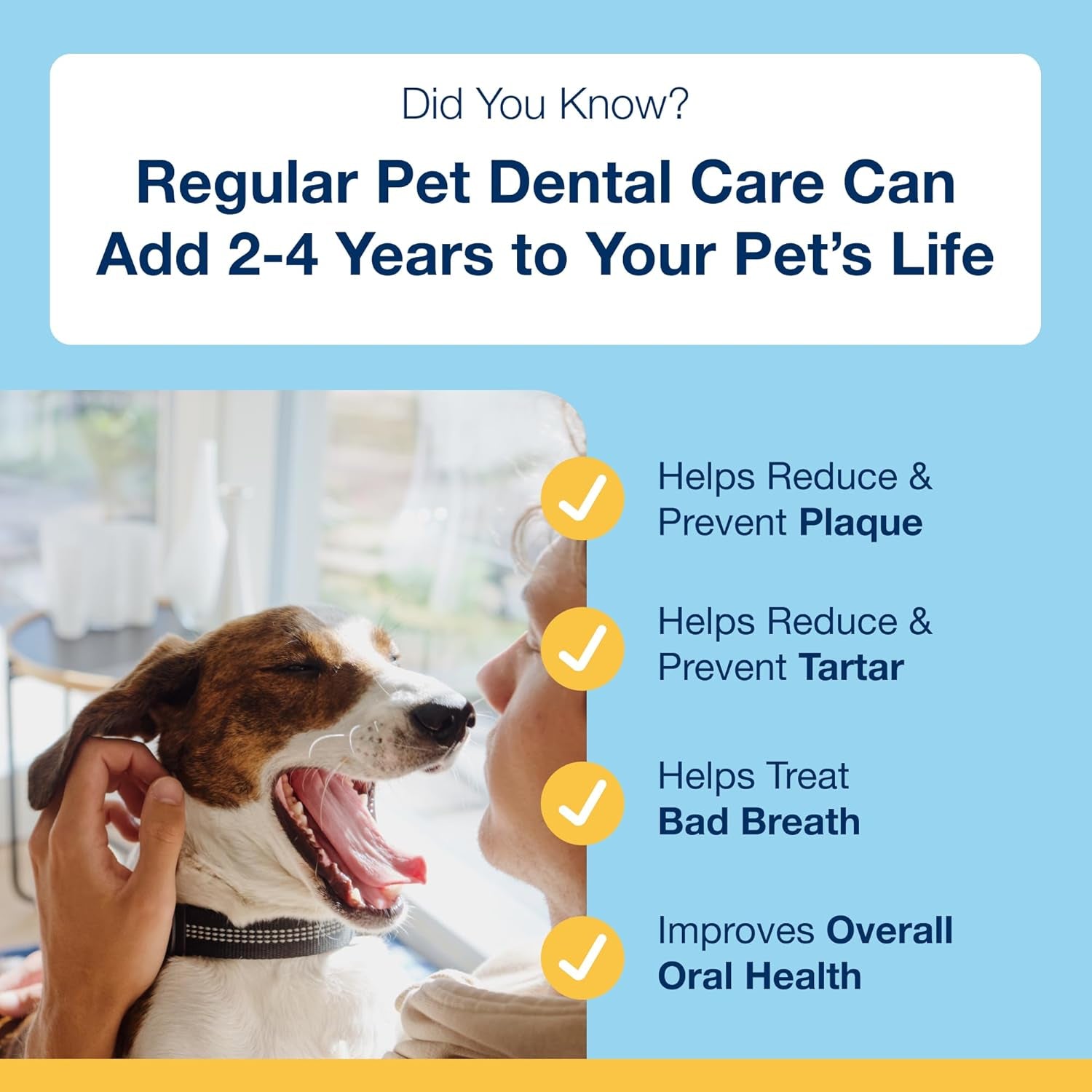 proden-plaqueoff-powder-for-dogs-dog-tartar-and-plaque-remover-60g-vohc-accepted-dental-powder-for-pet-oral-care-supports-fresher-breath-and-dental-hygiene-100-natural-kelp-formula