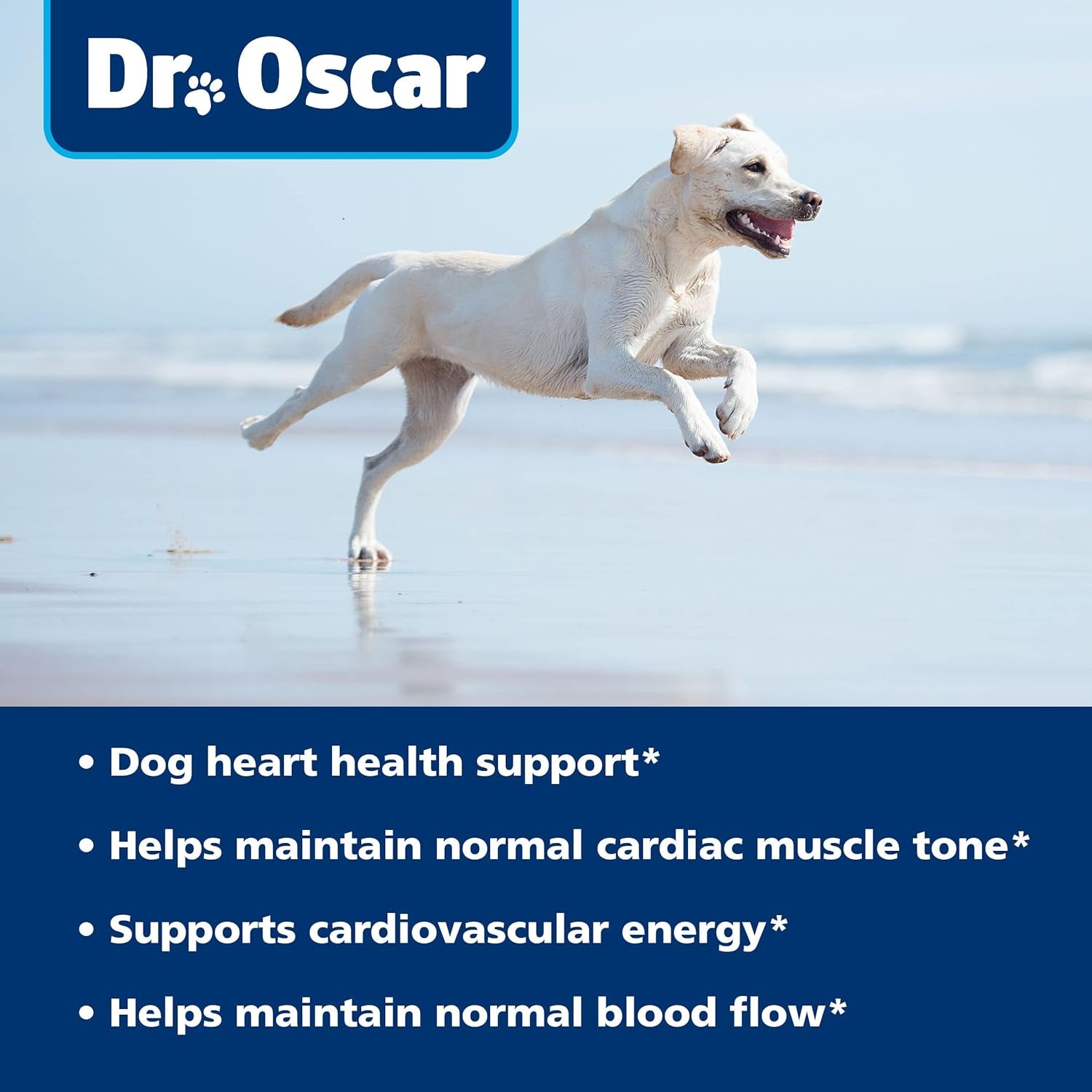 taurine-supplement-for-dogs-meets-rda-of-500-mg-per-25lbs-weight-unlike-most-alternatives-120ct-helps-maintain-dog-heart-health-normal-function-of-the-cardiac-muscle-normal-blood-flow