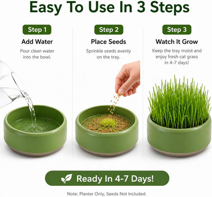 Komorebi Cat-Specific Reusable Hydroponic Herb Growing Box Set-Easy to Use-3 Colour (Seeds Not Included) (Green)4