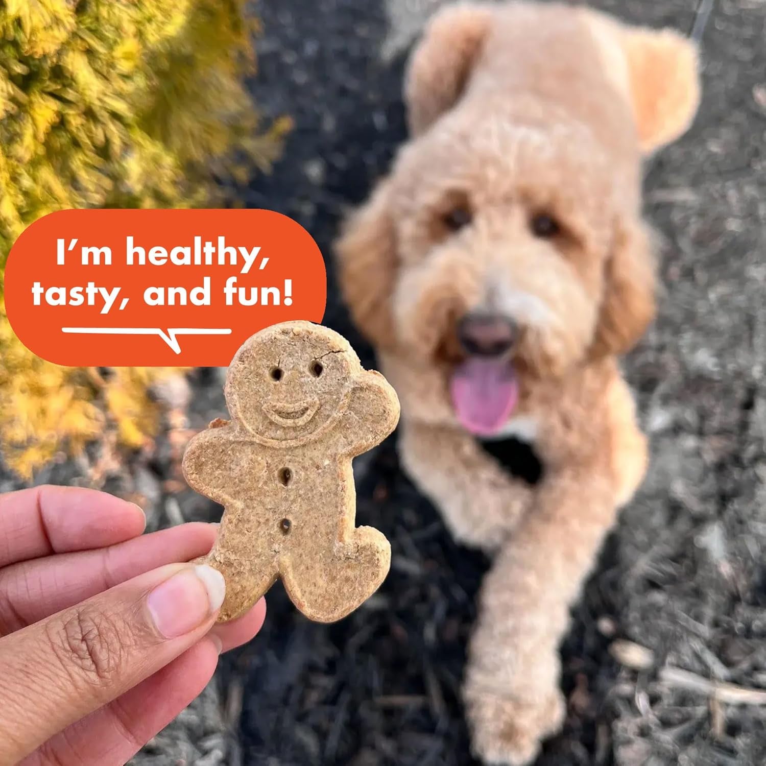 buddy-biscuits-grain-free-dog-treats-baked-in-usa-large-size-treat-with-natural-peanut-butter-14-oz