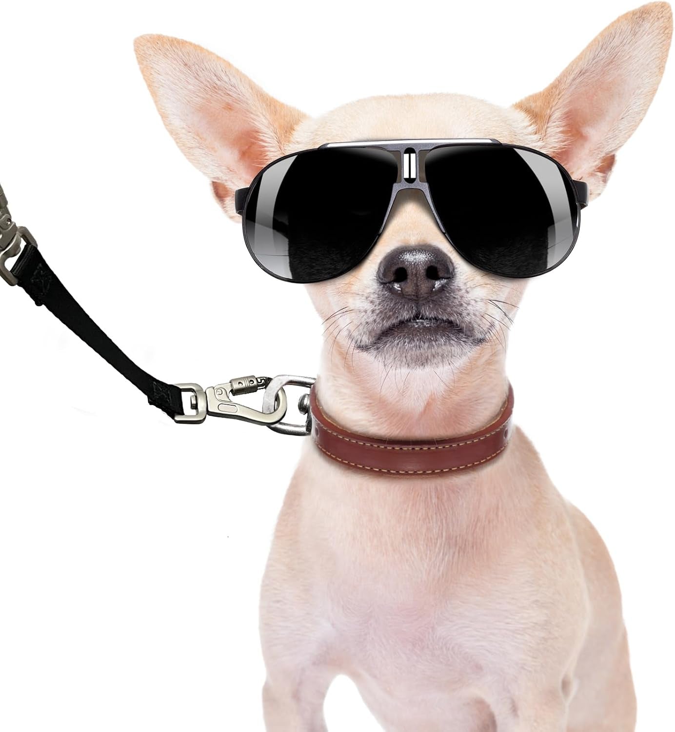 double-ended-collar-backup-clip-for-dog-harnesses-safety-clip-for-prong-collar-with-gentle-nylon-webbing-for-light-dog