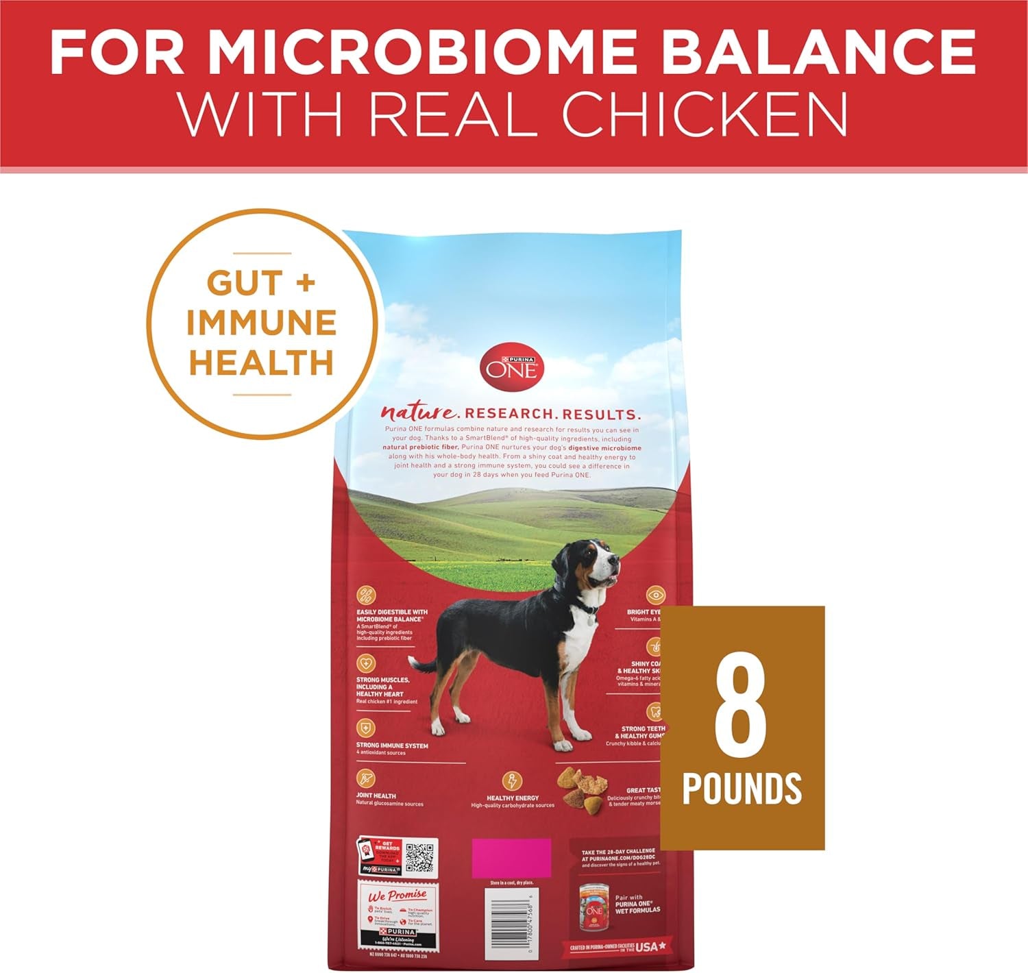 purina-one-chicken-and-rice-formula-dry-dog-food-8-lb-bag