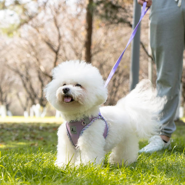 Dog Harness & Leash Set - No Pull Soft Breathable Small Dog Harness, Adjustable Reflective Step-In Vest for Puppy, Kitten, Cats7