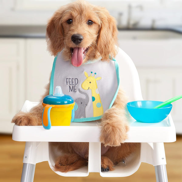 Fromm Puppy Gold Premium Dry Dog Food - Dry Puppy Food for Medium & Small Breeds - Chicken Recipe - 5 Lb2