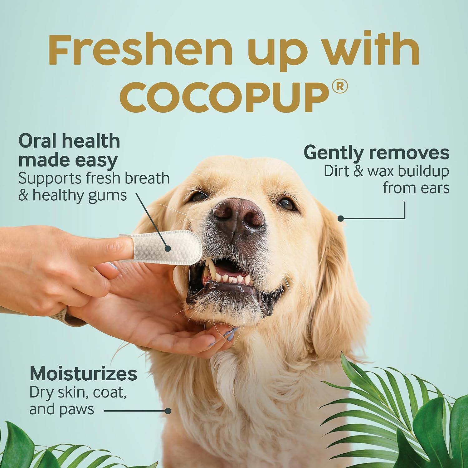cocopup-dog-cat-dental-wipes-coconut-oil-finger-toothbrush-cleaner-coconut-oil-infused-finger-wipes-for-dogs-and-cats-helps-clean-teeth-freshen-breath-and-wipe-ears-nose-paws-and-fur