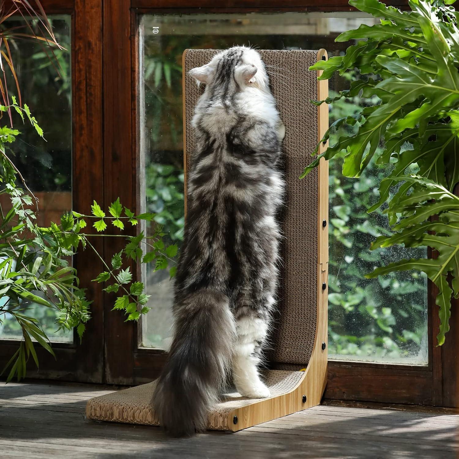 fluffy-gray-cat-stretching-on-a-wooden-cat-scratcher-near-a-sunny-window-with-green-plants