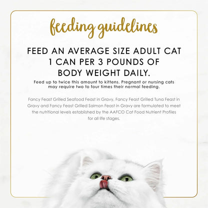 Feeding guidelines for adult cats with white fluffy cat image7
