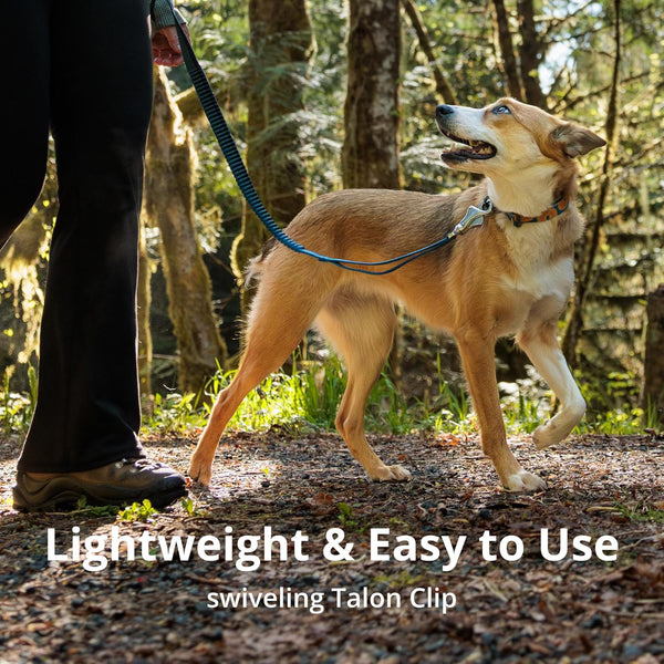 Ruffwear, Roamer Bungee Dog Leash for Running, Biking or Hiking, Can Be Used Hand-Held or Hands-Free, River Rock Green, 5.5'-7'5