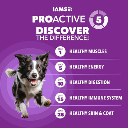 IAMS Advanced Health Healthy Digestion Dry Dog Food, Chicken, 13.5 Lb | Real Farm-Raised Chicken #1 Ingredient, 0% Fillers, Natural Fiber & Prebiotics, Supports Digestive Health2