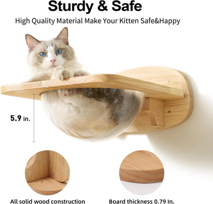 FUKUMARU Cat Wall Furniture Set, Transparent Capsule with 2 PCS Pedals | Kitten Walls Shelves, Premium Kitty Bed, for Sleeping, Playing, Climbing, Lounging, Holds up to 35 Lbs4