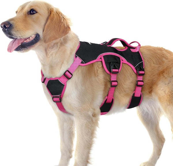 Rabbitgoo Escape Proof Dog Harness for Large, No Pull with Lift Handle | No Escape, Full Soft Padded, Reflective Adjustable Vest, Leash Clip for Walking Hiking Training, Black, Large25