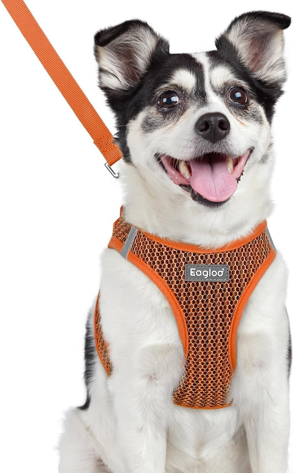 Eagloo Small Dog Harness and Leash Set, Step in Small Sized Puppy Pet Vest | Light, Soft, Breathable Air Mesh, Easy on and off with Hook & Loop, Reflective for Safe Walking, Pink, S44