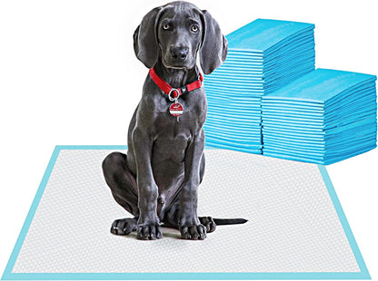 BESTLE Large Pet Training and Puppy Pads Pee Pad for Dogs 24"X24"-80 Count Super Absorbent & Leak-Proof1