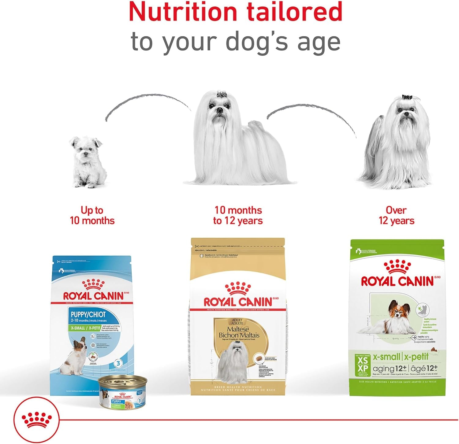 royal-canin-breed-health-nutrition-maltese-adult-dry-dog-food-2-5-lb-bag