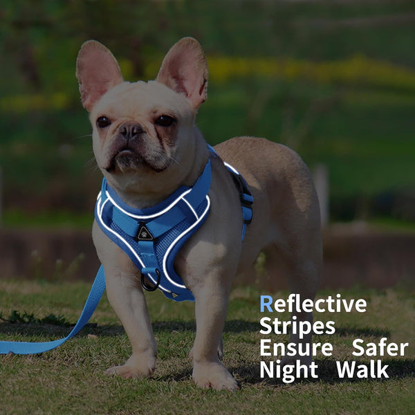 No Pull Dog Harness with Leash Set for Small Sized Dog, Reflective Adjustable No Choke Front Clip Cat Vest Harness with Breathable Mesh, Comfortable Soft Padded Pet Vest, Blue M5