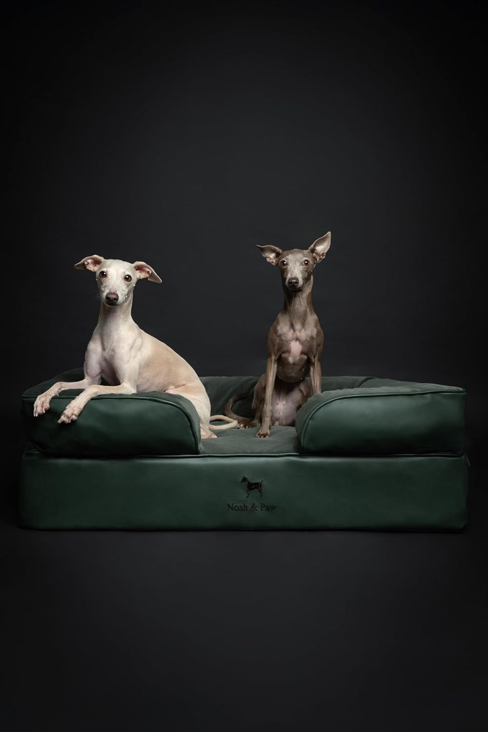 noah-paw-large-dog-bed-35x25x11-inch-orthopedic-dog-beds-eggshell-memory-foam-infused-with-cooling-gel-inner-cover-water-resistant-machine-washable-faux-leather