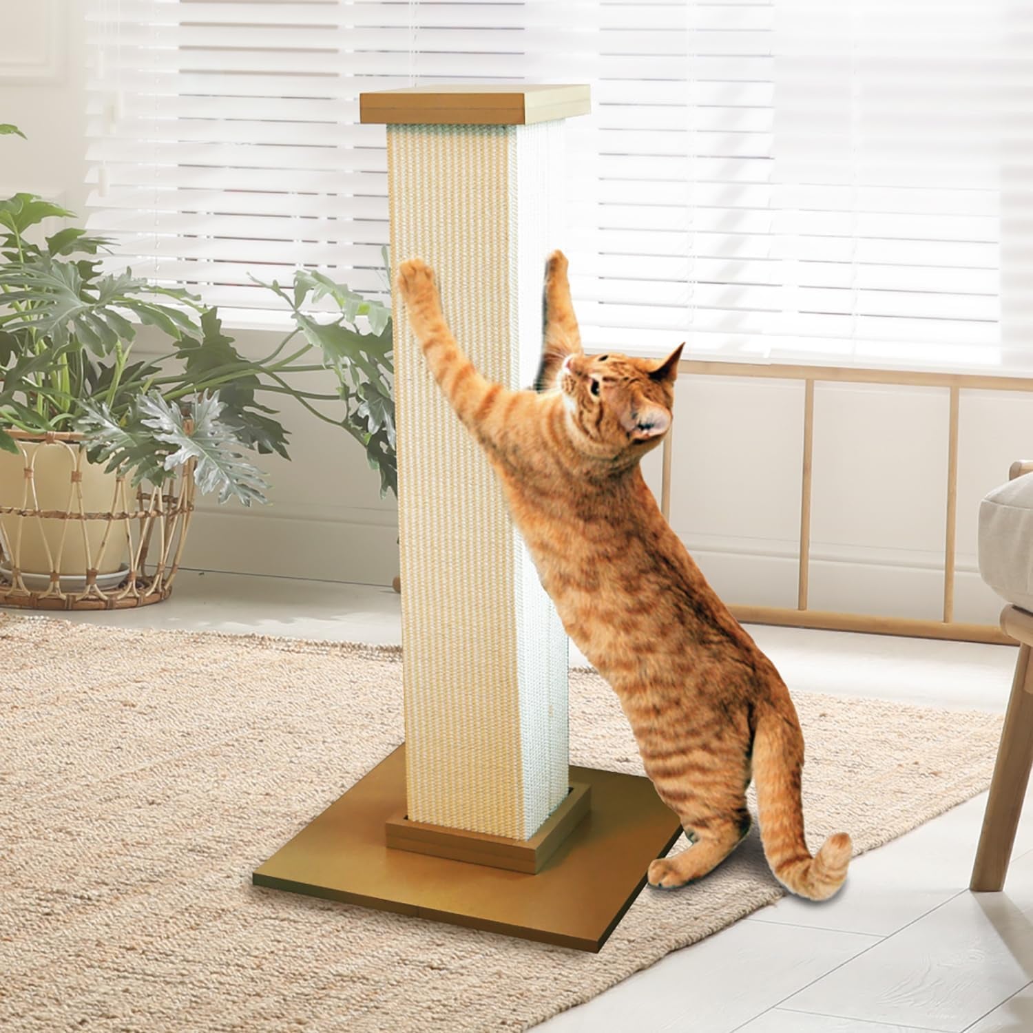 smartcat-pioneer-pet-ultimate-scratching-post-beige