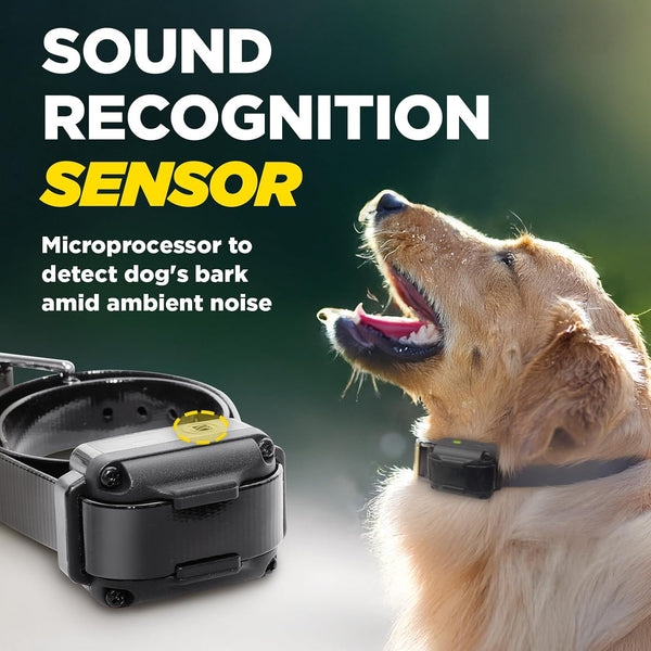 Dogtra Iq Vibe Vibration Only No Bark Collar: 4X Stronger HPP Vibration, IPX9K Waterproof, Precision Sensor, Rechargeable4