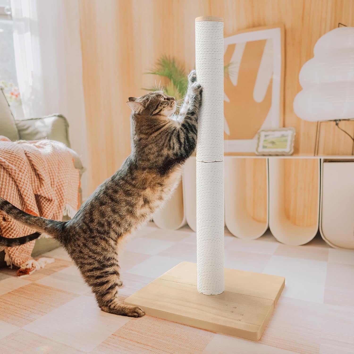 necoichi-23-6-tall-cat-scratching-post-kitten-scratcher-paper-rope-scratch-posts-trees-with-hanging-for-indoor-cats-23-6-inches-for-kitty-regular-oak