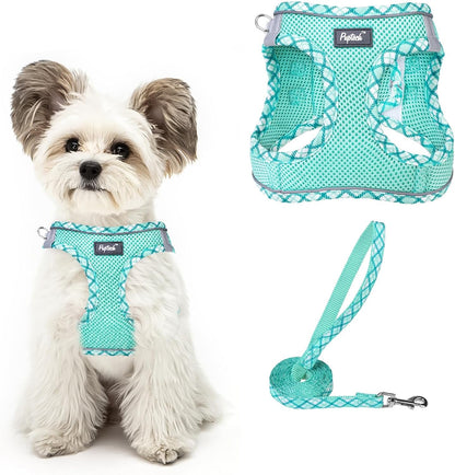 PUPTECK Dog Harness and Leash Set for Small Medium Dogs No Pull Step-In Soft Mesh Puppy Cat Vest Harnesses Reflective at Night, Green S44