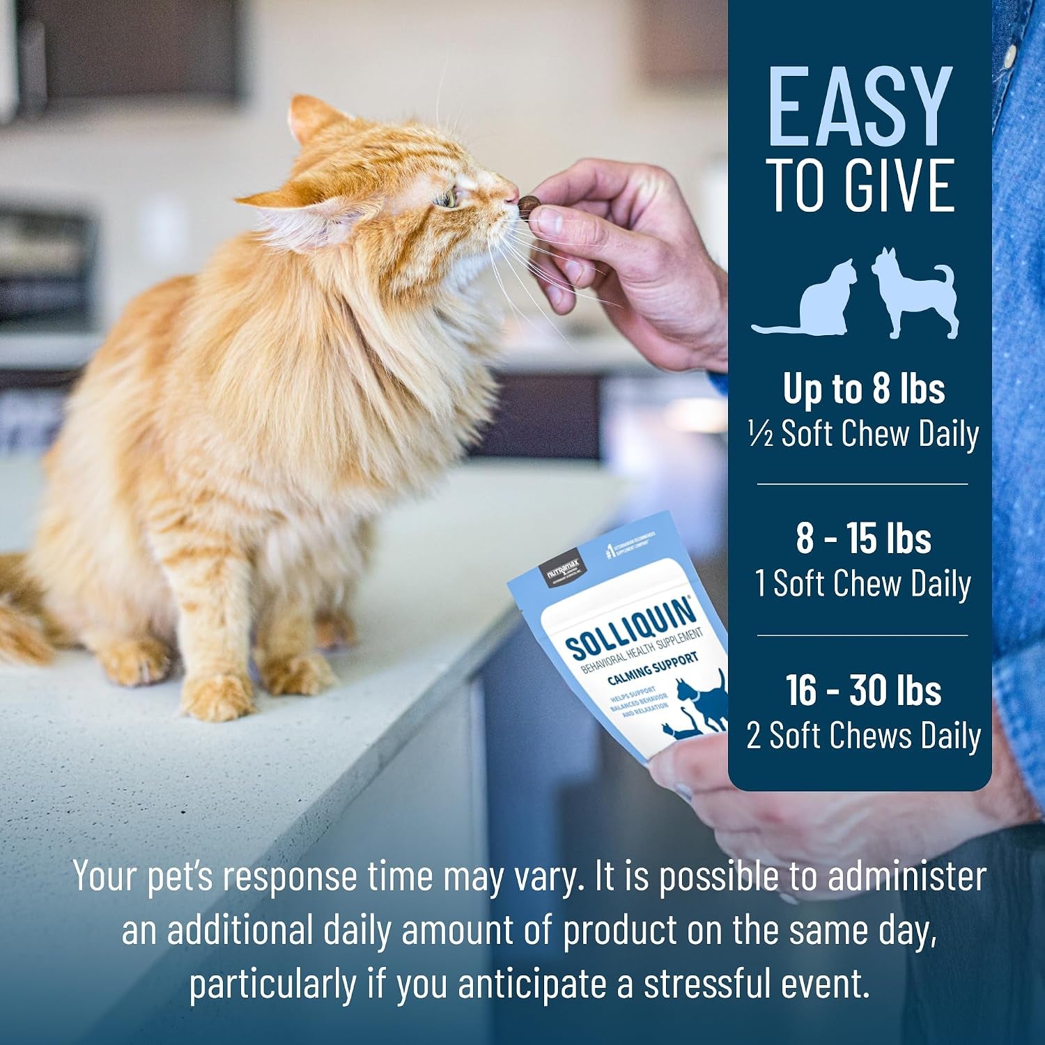 nutramax-solliquin-cat-small-dog-calming-support-soft-chews-75ct