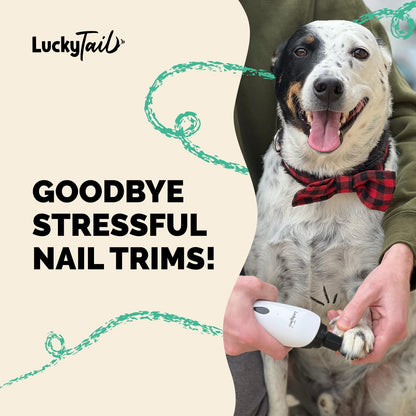 Luckytail Pet Nail Grinder for Dogs and Cats - Super Quiet and Low Vibration Electric Dog Nail Grinder with 2 LED Lights - USB Rechargeable and Cordless - 2 Speeds - Small to Large Pets8