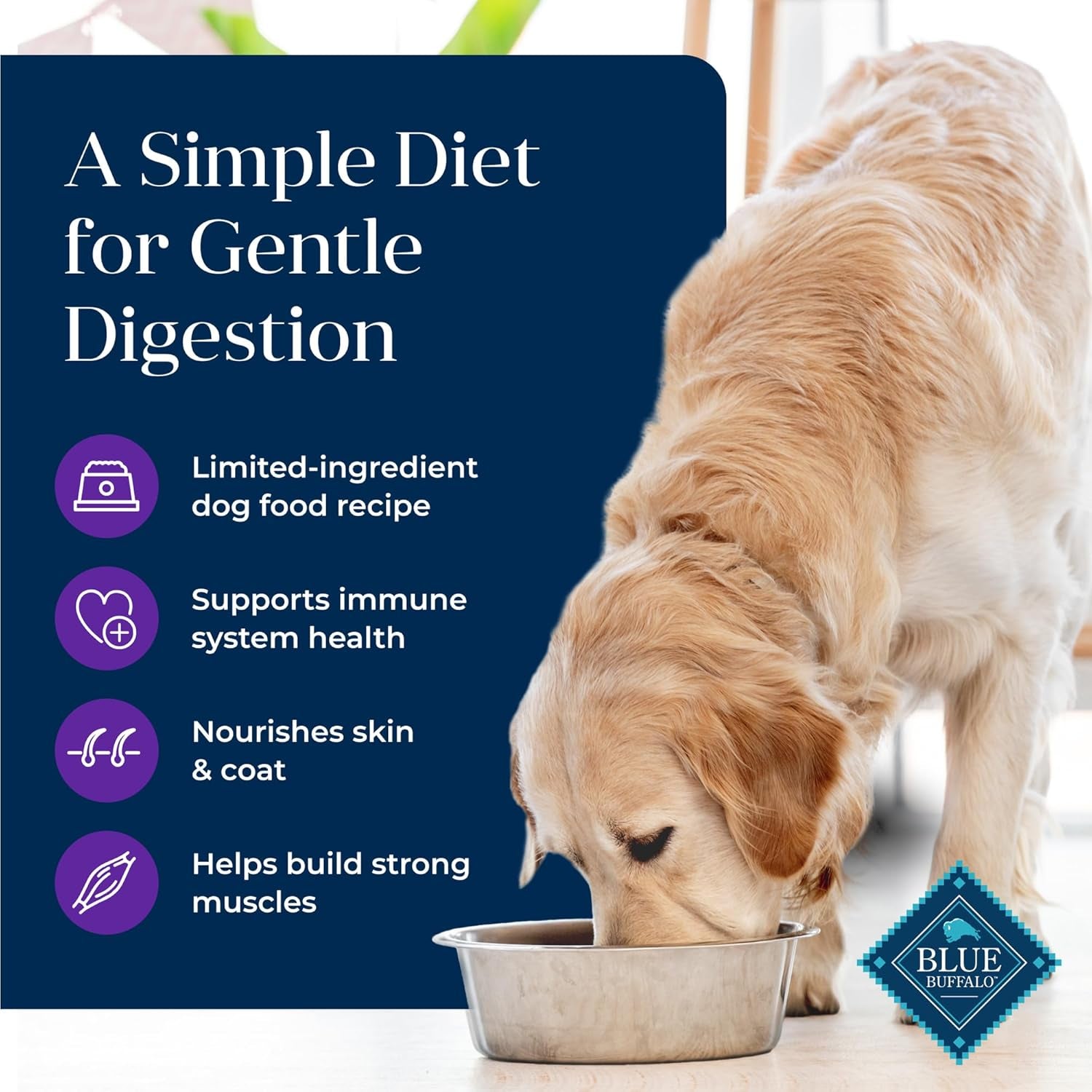 blue-buffalo-basics-grain-free-adult-dry-dog-food-skin-stomach-care-limited-ingredient-diet-for-dogs-turkey-recipe-24-lb-bag
