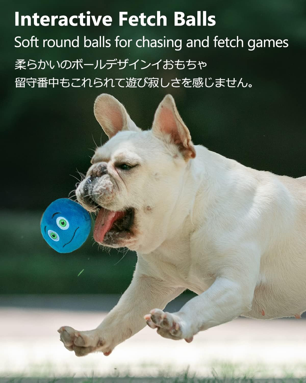 schitec-squeaky-dog-toys-6-pack-soft-stuffed-plush-balls-with-squeakers-interactive-fetch-play-for-puppy-small-pets