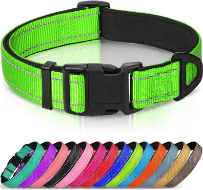 Joytale Reflective Dog Collar, Adjustable Neoprene Padded, Teal L | Breathable Nylon for Large Dogs, No Chafing on Walks and Outdoor Hikes, Tear-Resistant Webbing, Metal D-Ring, Night Safety15