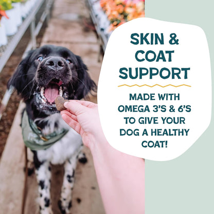Shameless Pets Soft-Baked Dog Treats, Bananas for Bacon | Healthy Treats for Small, Medium & Large Dogs | Skin & Coat Support with Omega-3 & Omega-6 | Grain-Free, Made in USA | 6 Oz4