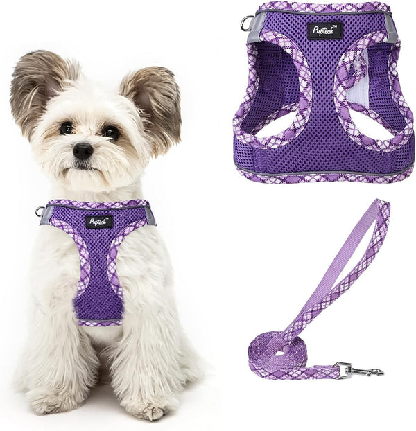 PUPTECK Dog Harness and Leash Set for Small Medium Dogs No Pull Step-In Soft Mesh Puppy Cat Vest Harnesses Reflective at Night, Green S28