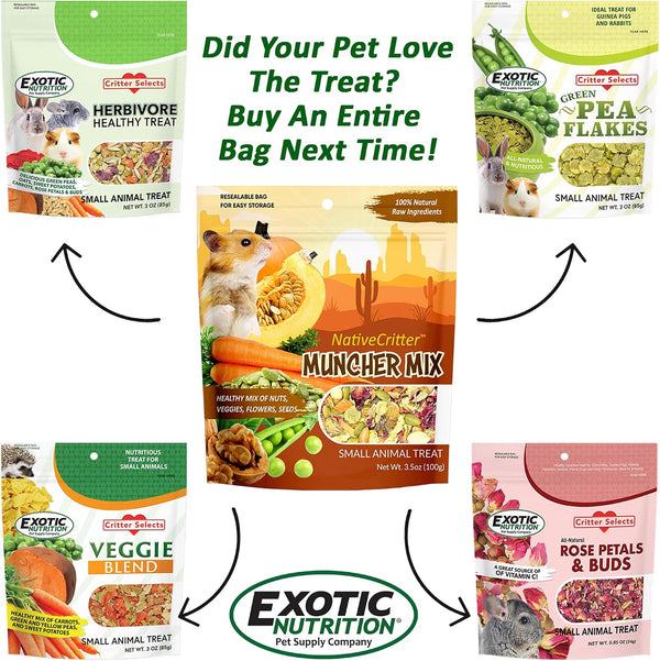 Exotic Nutrition Muncher Mix (3.5 Oz) - Natural & Nutritional Treat for Hamsters, Gerbils, Rats, Degus, and Squirrels5
